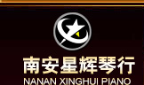南安星輝琴行，鋼琴，二胡，架士鼓，琵琶，小提琴，電鋼琴，吉他，薩克斯，揚琴