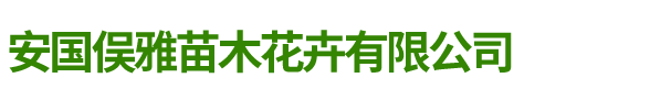 安國俁雅苗木花卉有限公司