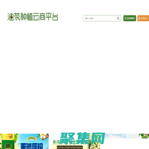 油茶種植云商平臺_重慶油茶種植門戶網站_重慶油茶種植_重慶油茶銷售_重慶油茶批發_重慶油茶訂購_酉陽油茶種植技術