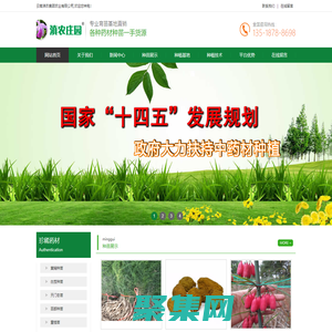 多花不倒苗黃精苗|滇黃精種植技術|白芨種苗批發|林下中藥材種植規劃|云南滇農集團有限公司昆明基地