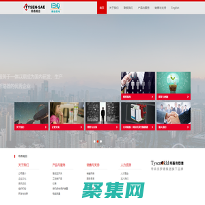 南京帝森南自電氣有限公司_斷路器_真空斷路器_高壓真空斷路器_ZN139-12_VPN-12_NYKW2_接觸器_雙電源轉換開關_熱繼電器_多功能智能儀表_電動機保護器_控制保護開關_導軌表