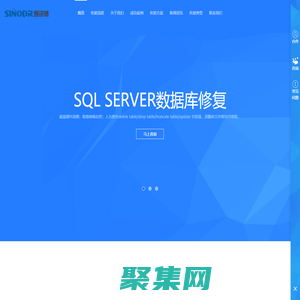 成都賽諾德科技有限公司提供專業數據庫修復技術服務,SQL SERVER數據庫修復,金蝶數據庫修復,用友數據庫修復,管家婆數據庫修復。