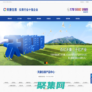 天康儀表 - 安徽天康(集團)股份有限公司