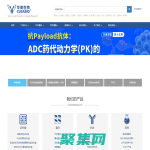 專業提供基因,重組蛋白,抗體,ELISA kit,診斷試劑原料,定制服務-華美生物