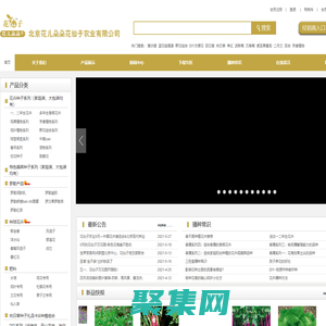 首頁―北京花仙子園藝―專業種子培育，批發零售各種花卉、花種、苗木