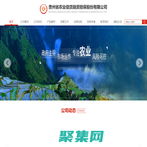 貴州省農業信貸融資擔保股份有限公司——首頁
