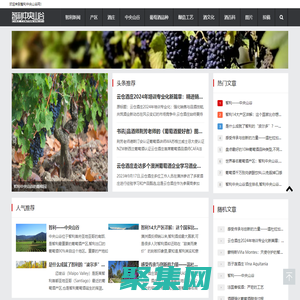 智利中央山谷網