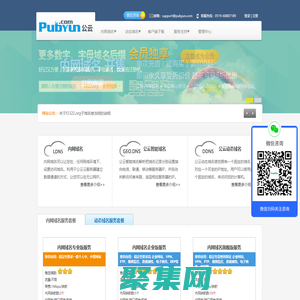 專業的云計算、動態域名服務提供商 - 公云PubYun