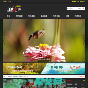 自然之聲_生態圖像網