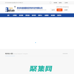 青島辛迪加國際經濟技術合作有限公司