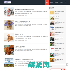PA寵物百科網