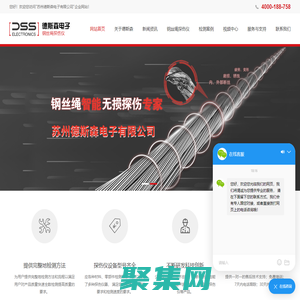 鋼絲繩探傷儀-探傷儀-蘇州德斯森電子有限公司