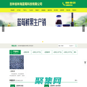 吉林省林海藍莓科技有限公司