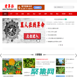 愛算卦-真人在一對一算命-在線算命-網上算命-算卦-免費算命-易經-周易-六爻