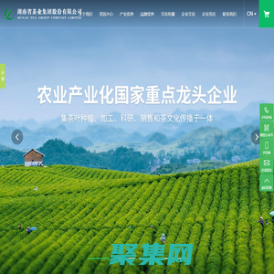 湖南省茶業集團股份有限公司_安化黑茶_千兩茶_茶葉種植生_茶葉加工生產