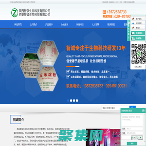 藥用輔料廠家_藥用糊精_藥用淀粉廠家-西安智誠生物科技有限公司