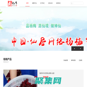 仙居楊梅-原生態仙居東魁楊梅-2023仙居楊梅節-仙居縣小胖楊梅合作社