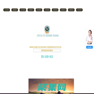 晶點寵物美容培訓學校 - 沈陽寵物美容師培訓學校