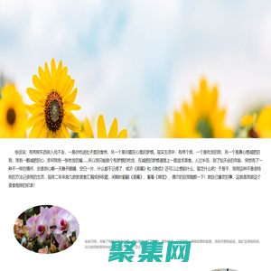 懶人網 - 手機游戲,軟件應用,安卓游戲,安卓軟件,矢量圖,網頁素材綜合下載站 - 學會偷懶，懶出境界！