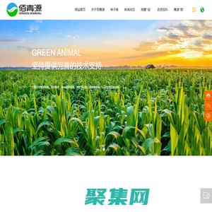 北京佰青源畜牧業科技發展有限公司 | 青綠飼料 | 紫花苜蓿