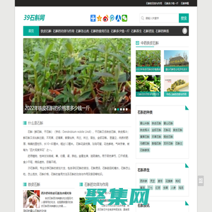 石斛－鐵皮石斛的功效與作用多少錢一斤及石斛的正確吃法-39石斛網