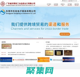 廣東省東莞輕工業品進出口有限公司