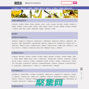 橄欖油的功效與作用_橄欖油的食用方法_橄欖油的用法_橄欖油的價格_橄欖油之戀