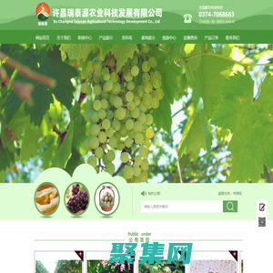 許昌草莓園|許昌葡萄園|許昌農業公司|許昌瑞泰源農業科技發展有限公司