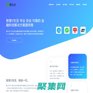 智慧V生活-領先的聚合支付平臺