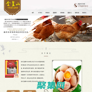 葉黃素雞蛋不只是雞蛋