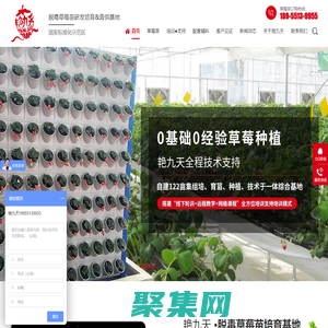 草莓種苗,草莓脫毒種苗,草莓生產苗,紅顏草莓種苗,草莓種苗批發-合肥市艷九天農業科技有限公司