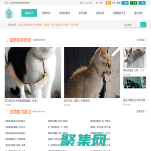 寵物領養 - 全國寵物免費領養平臺-流浪啦寵物領養中心