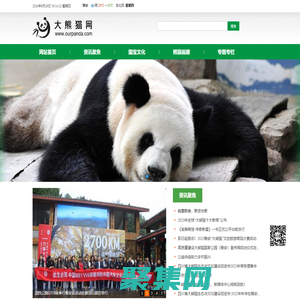 大熊貓網