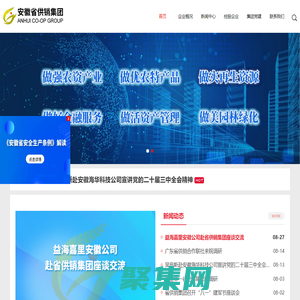 安徽省供銷集團有限公司