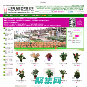 毛毛園藝盆栽網