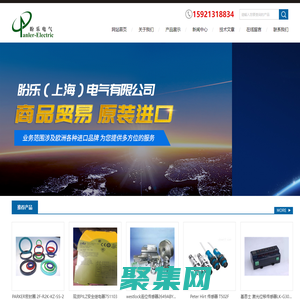 KROHNE流量表C95/R4,Phoenix濾波器,Filtri濾芯和過濾器-盼樂（上海）電氣有限公司