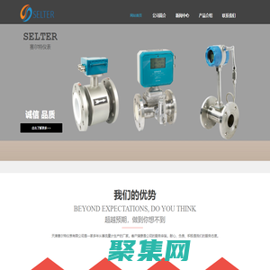 天津賽爾特儀表有限公司