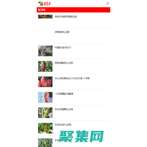 運富春 - 助力三農致富