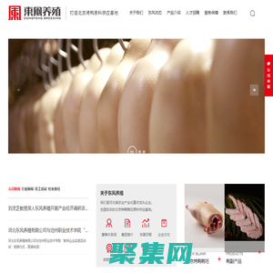 河北東風養殖有限公司_鴨坯,鴨副產品,鴨腸,鴨血
