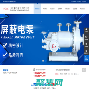 屏蔽泵-化工屏蔽泵-屏蔽電泵-山東魯辰泵業有限公司