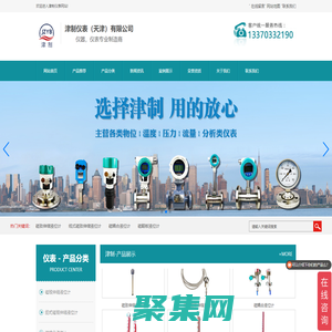 磁致伸縮液位計-纜式磁致伸縮液位計-磁耦合液位計-津制