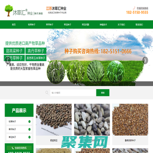 「牧草種子公司」批發種子 養殖牛羊畜牧專用品種草籽-沐草匯園林網-沭陽縣三點水商貿有限公司