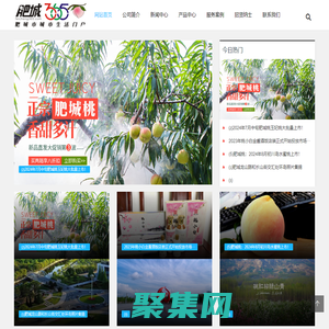 肥城生活網-肥城365天,天天快樂。 - www.feicheng365.com