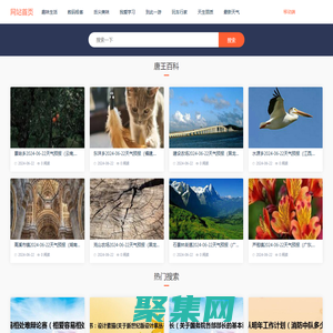 唐王百科-生活常識_百科知識_各類知識大全