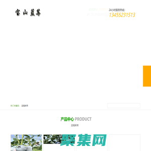 山東青島藍莓寶山基地｜微：a773857755｜藍莓寶山鮮果｜百度推薦寶山藍色基地優質服務公告2024已更-寶山藍莓鮮果