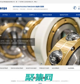 喬治沙弗「廣東喬峰」 - SKF軸承|NSK軸承|TIMKEN軸承在線綜合服務