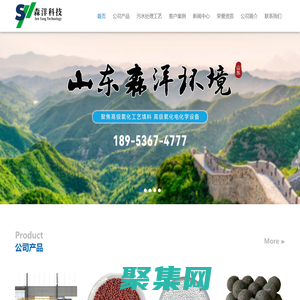 鐵碳填料_微電解填料_臭氧催化劑廠家-山東森洋環境技術有限公司