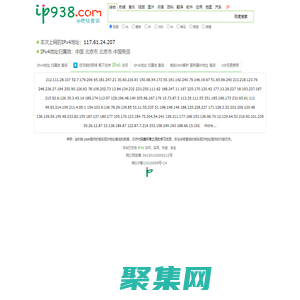 域名/IPv4/IPv6_IP地址查詢