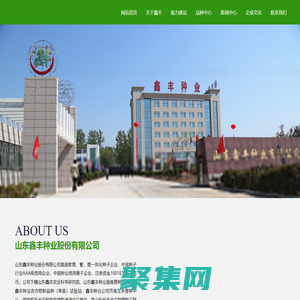 山東鑫豐種業股份有限公司_玉米雜交種,小麥良種