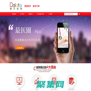 武漢雕龍數據科技有限公司 - 打造健康醫療數據資產應用鏈